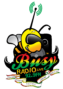BUSY RADIO